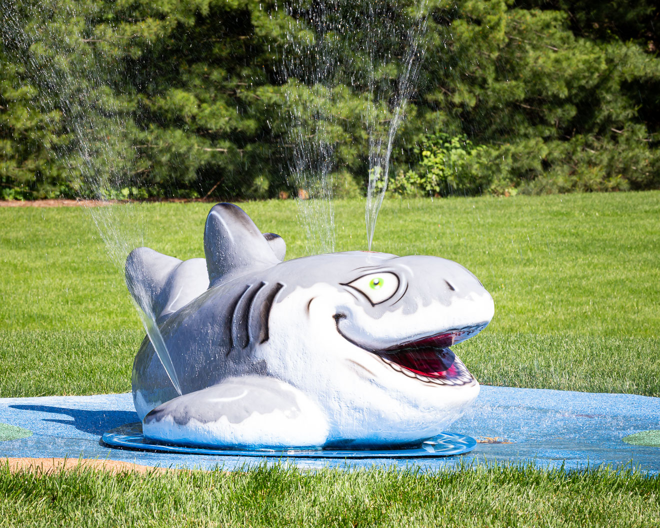 My Splash Pad Shark Water Play Features
