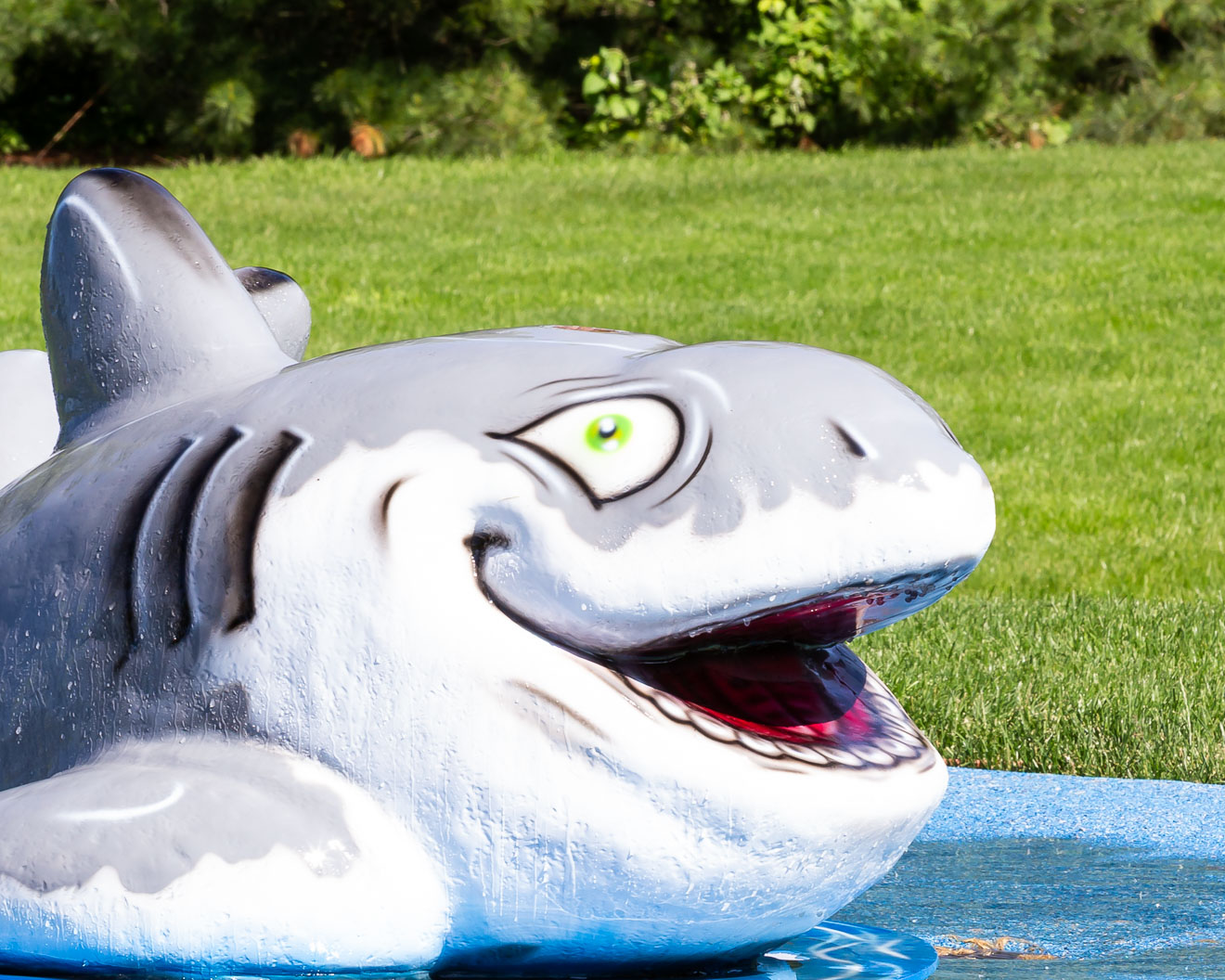 My Splash Pad Shark Water Play Features
