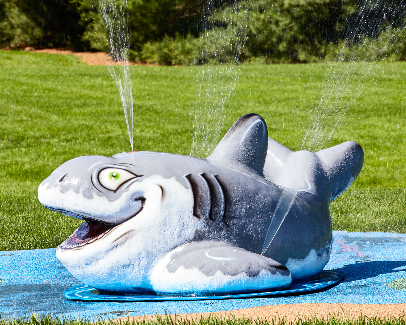 My Splash Pad Shark Water Play Features
