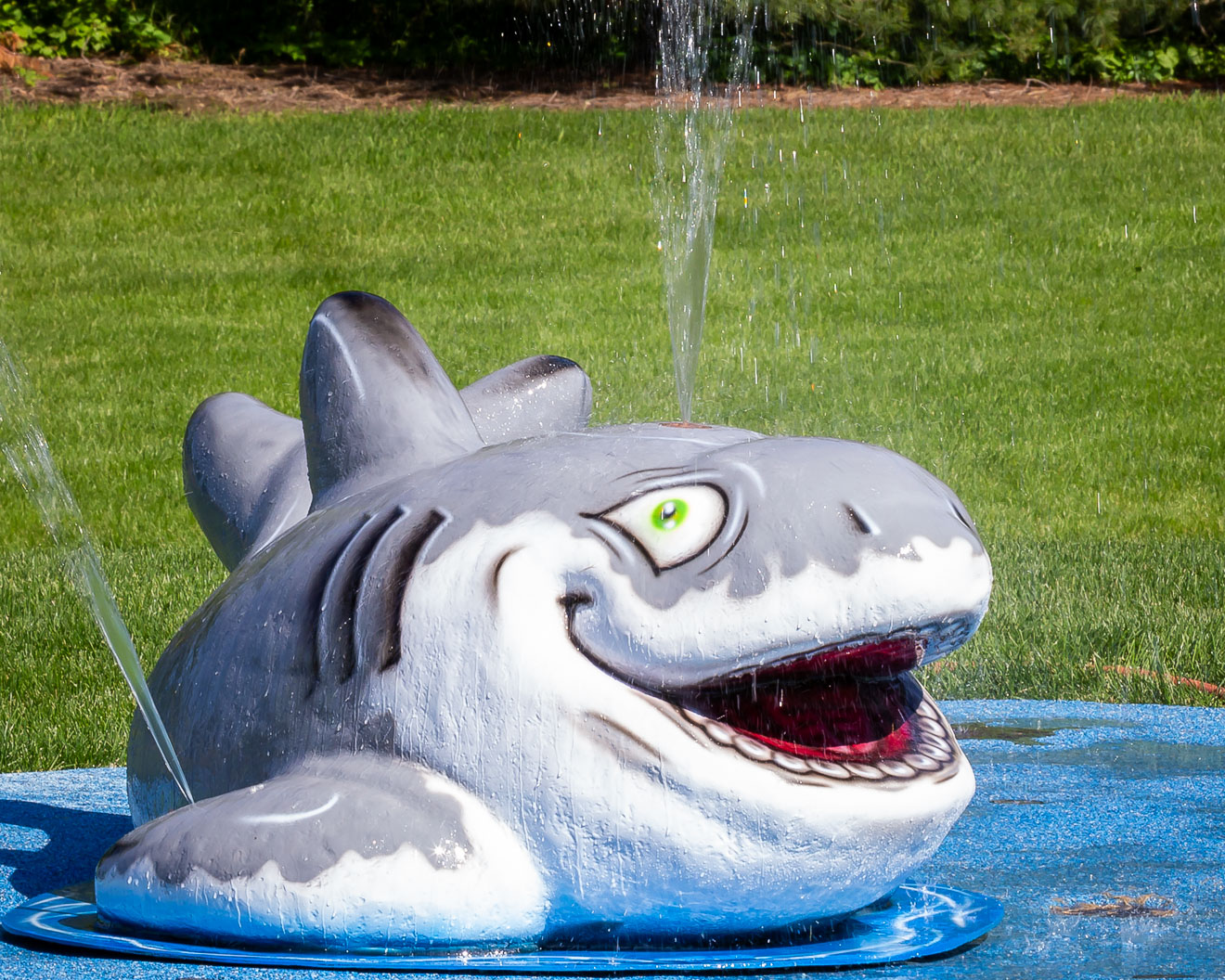 My Splash Pad Shark Water Play Features
