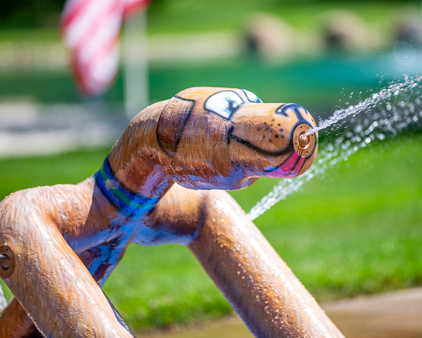 My Splash Pad Sitting Dog Water Play Features