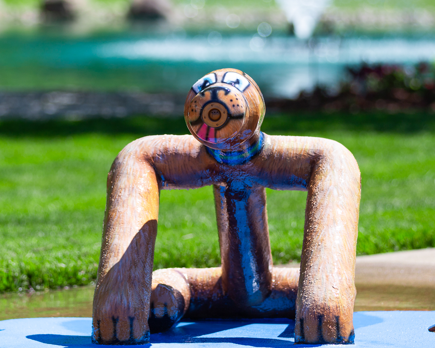 My Splash Pad Sitting Dog Water Play Features