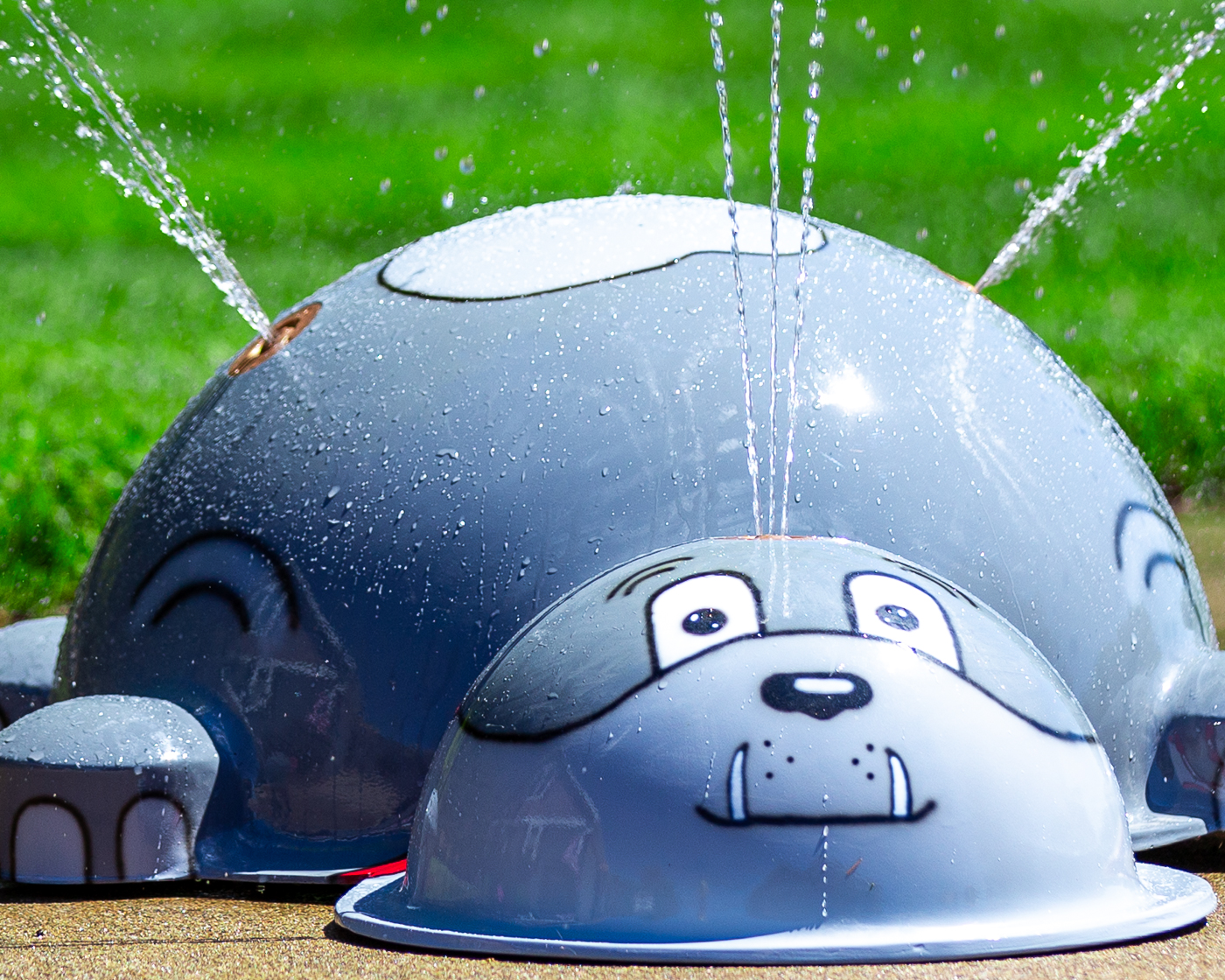 My Splash Pad Small Spike Dog Water Play Features