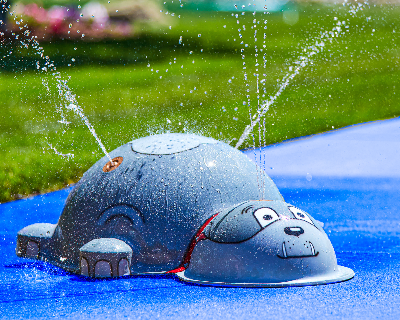 My Splash Pad Small Spike Dog Water Play Features
