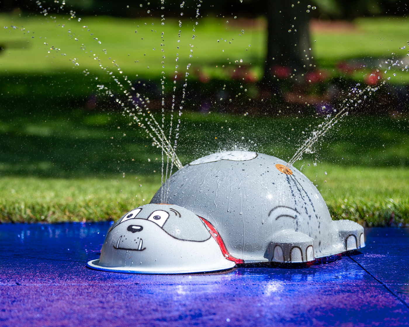 My Splash Pad Small Spike Dog Water Play Features