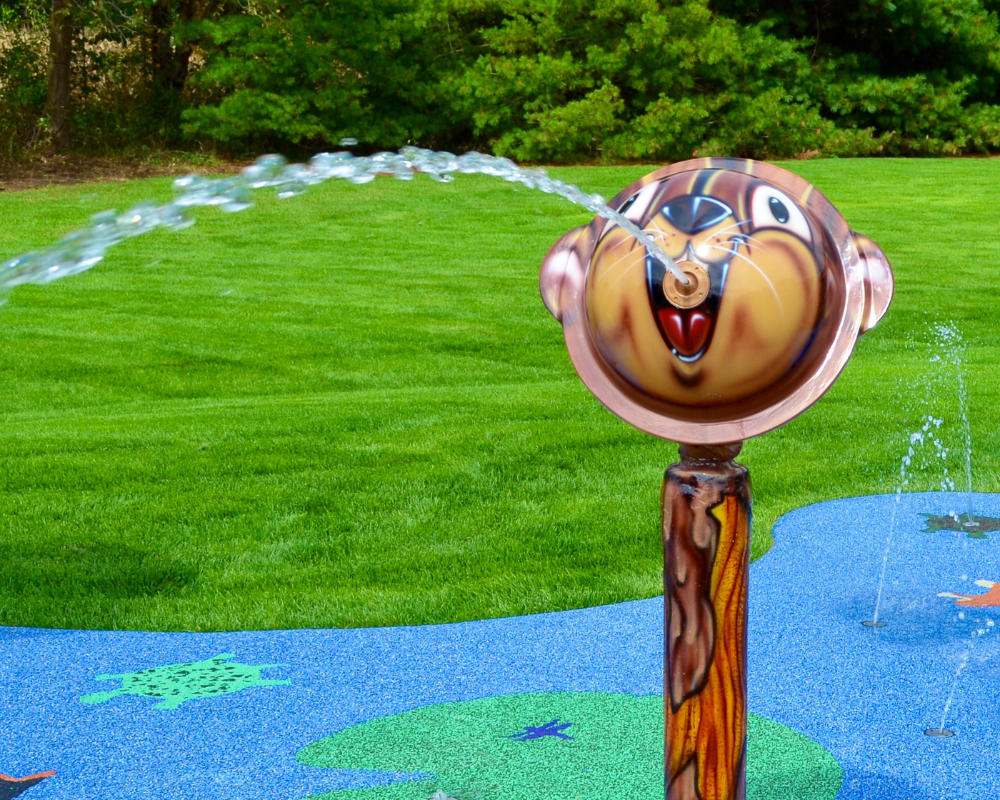 My Splash Pad Single-Axis Water Cannon Water Play Features