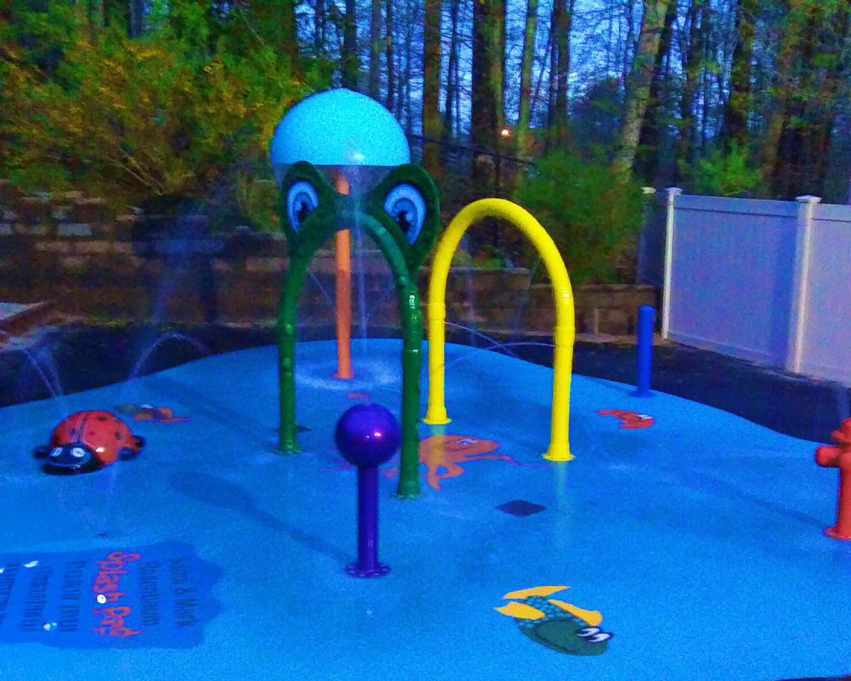 My Splash Pad Frog Arch Water Play Features